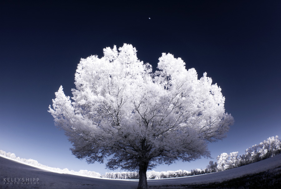 Project Imagin8ion Grand Prize Winning Photo - (c) Kelly Shipp Photography